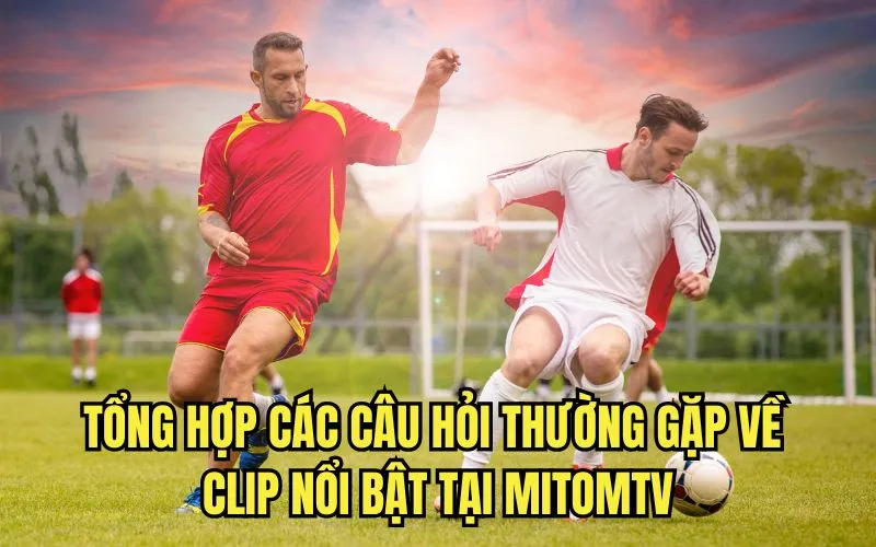 Tổng hợp các câu hỏi thường gặp về clip nổi bật tại MitomTV
